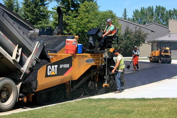 Best Permeable Paver Driveway  in Holt, AL